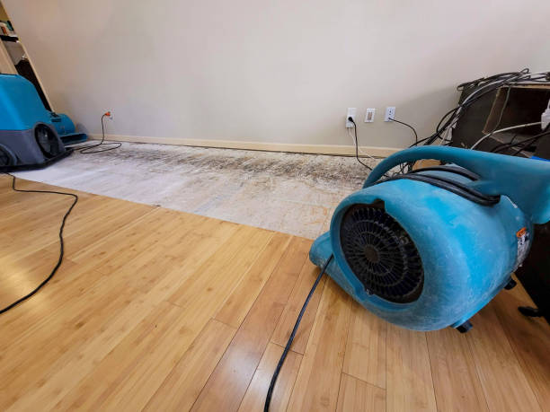 Professional Flood Damage Cleanup technician working in Bayville, NY